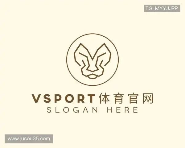 解读vsport体育